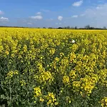 Fruehlingserwachen Im Hasetal, Becksvoort-noll 아파트