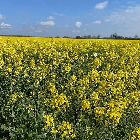 Sommertraum Im Hasetal, Becksvoort-noll Lejlighed
